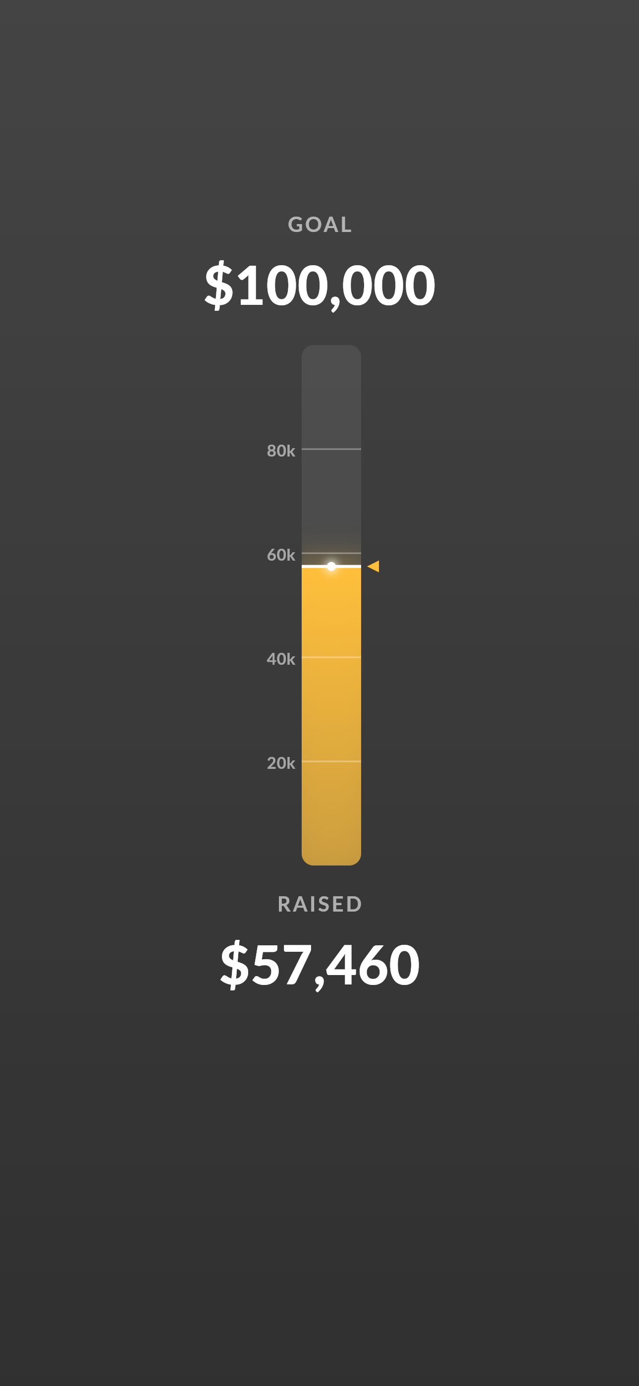 Umity Fundraising Screen